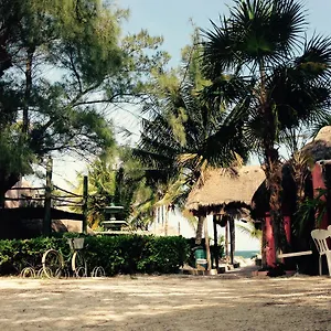 Acamaya Reef Mexiko